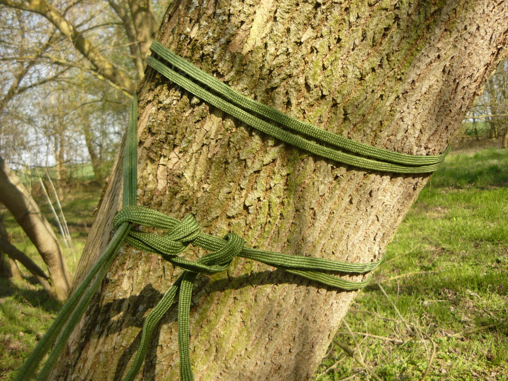 Befestigung einer Hängematte am Baum mit einfachen Knoten