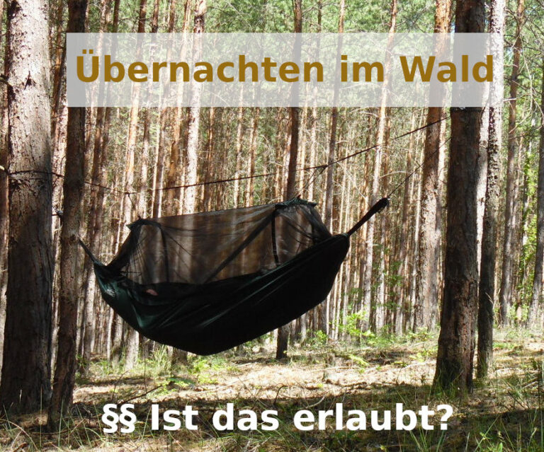 Wildcampen Darf man mit der Hängematte im Wald schlafen? outdoorhaengemattekaufen.de